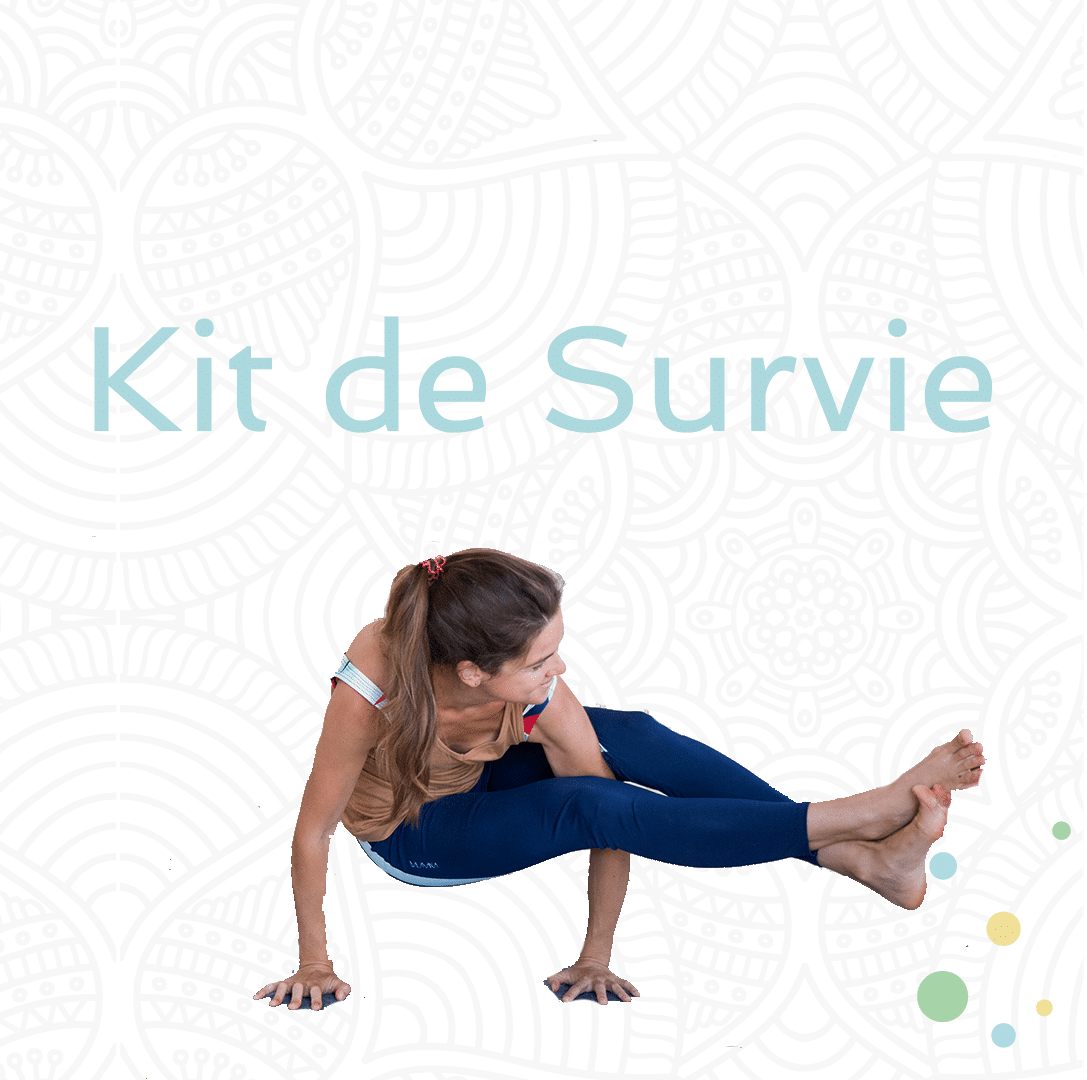 [6 cours] Kit de survie