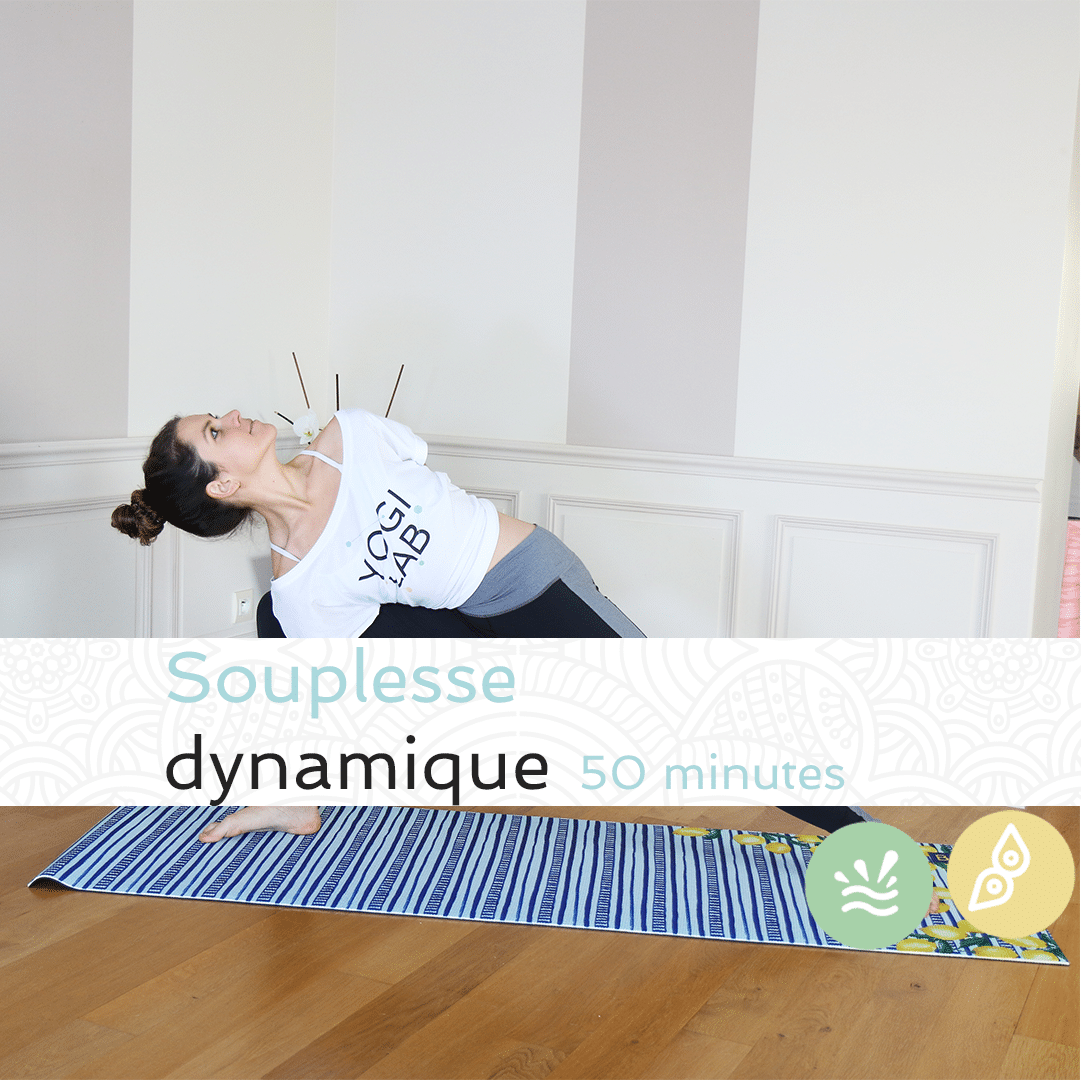 Souplesse dynamique