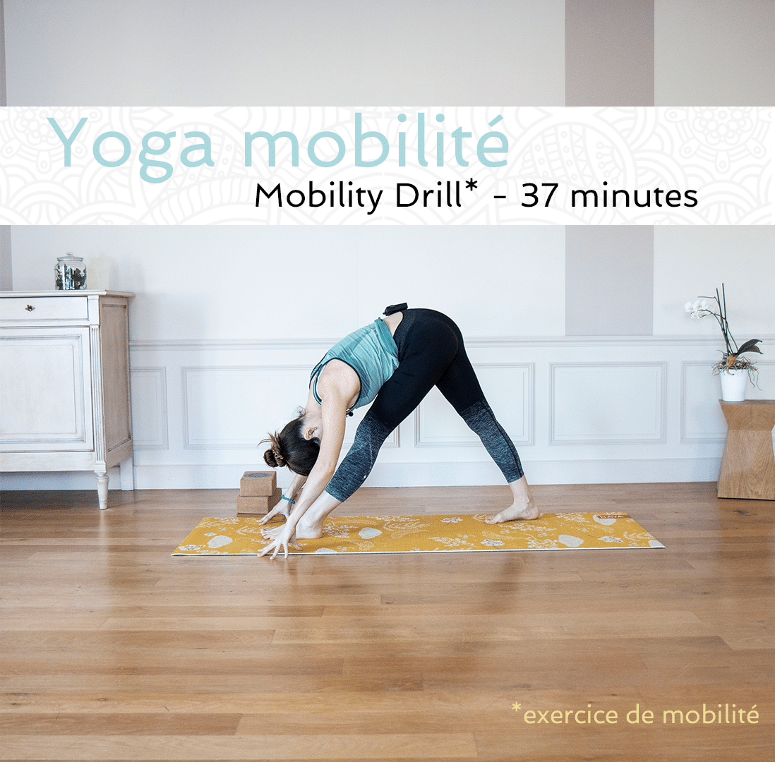 Yogi Agile - Drill Mobilité