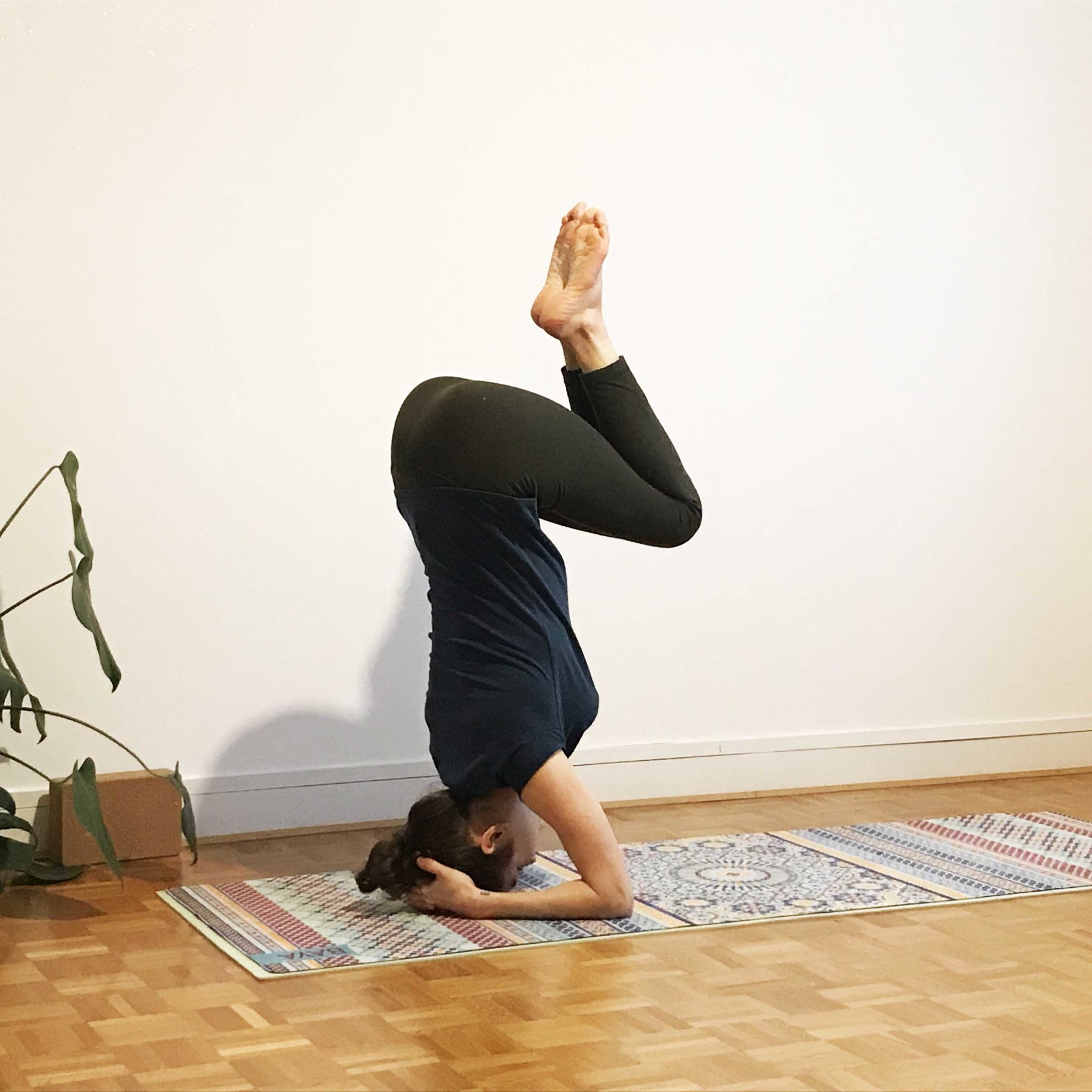 Flow avec tuto sirsasana