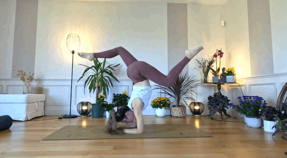 Equilibre #2 - Vers pincha mayurasana avec bienveillance