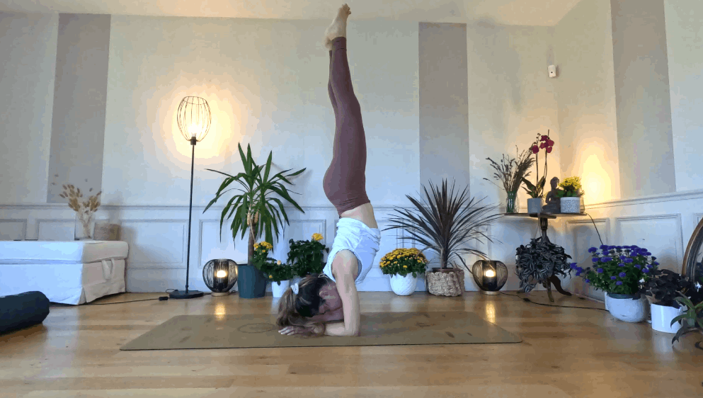 Equilibre #3 - Vers pincha avec courage